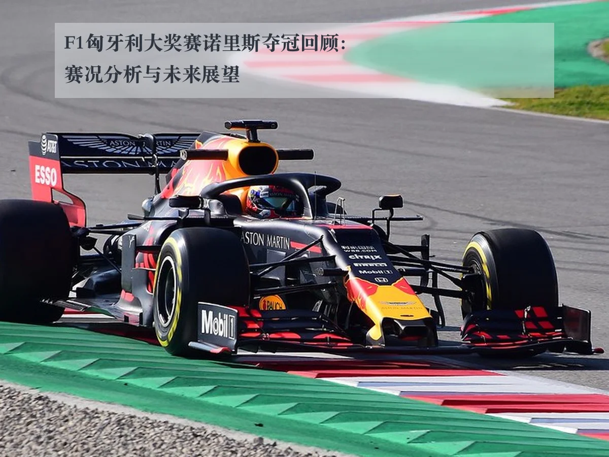 F1匈牙利大奖赛诺里斯夺冠回顾：赛况分析与未来展望