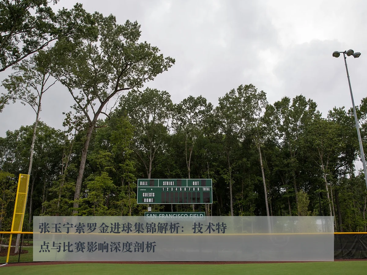 张玉宁索罗金进球集锦解析：技术特点与比赛影响深度剖析
